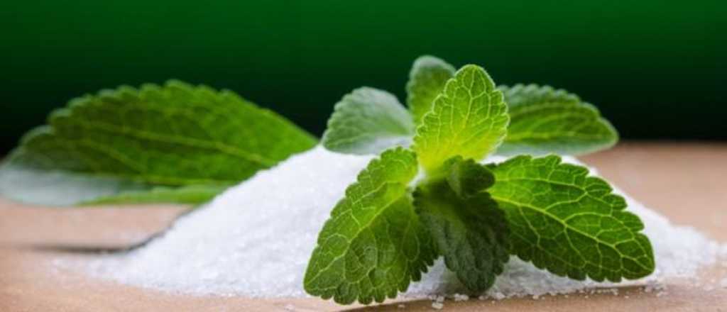 Cuatro razones para cambiar el azúcar por la stevia