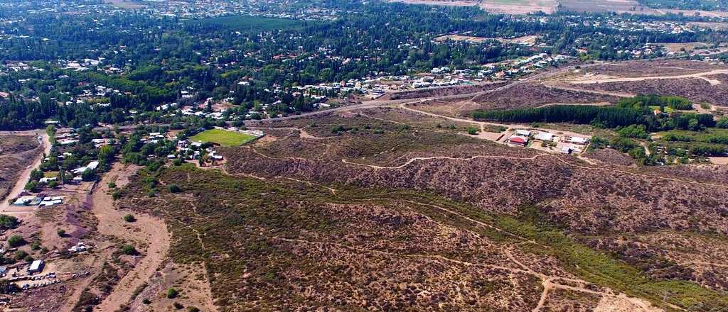 El Gobierno paralizó un desmonte ilegal en el Piedemonte de Capital