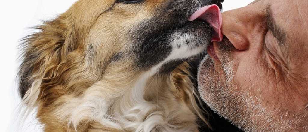 El "hiperapego" con los perros: los problemas que pueden generar