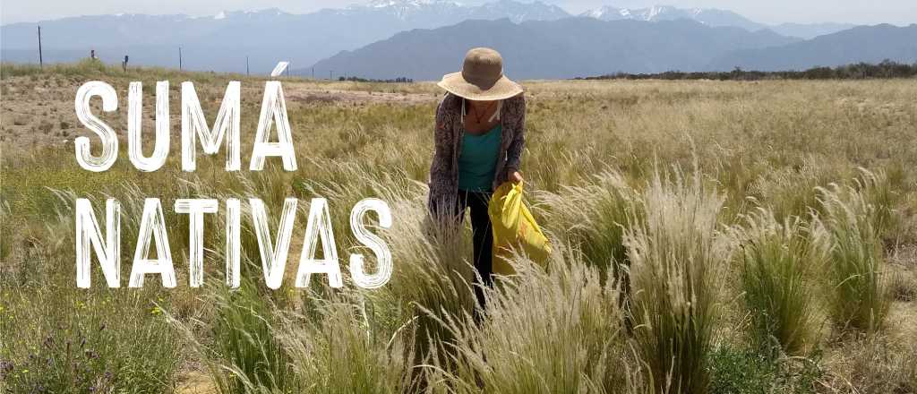 Campaña de Cervecería Quilmes para restaurar la cuenca del Río Mendoza