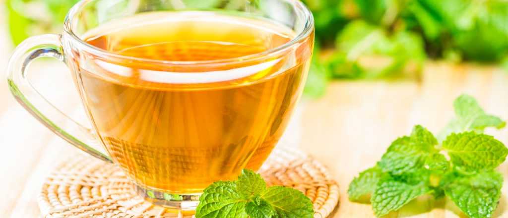 &iquest;Cu&aacute;les son los beneficios de tomar manzanilla en ayunas?