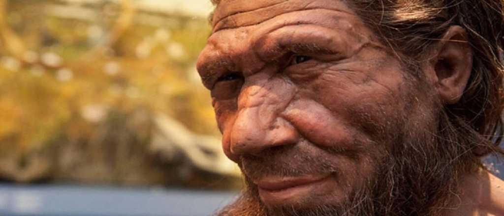 Un estudio revela qu&eacute; com&iacute;an los neandertales hace 60 mil a&ntilde;os