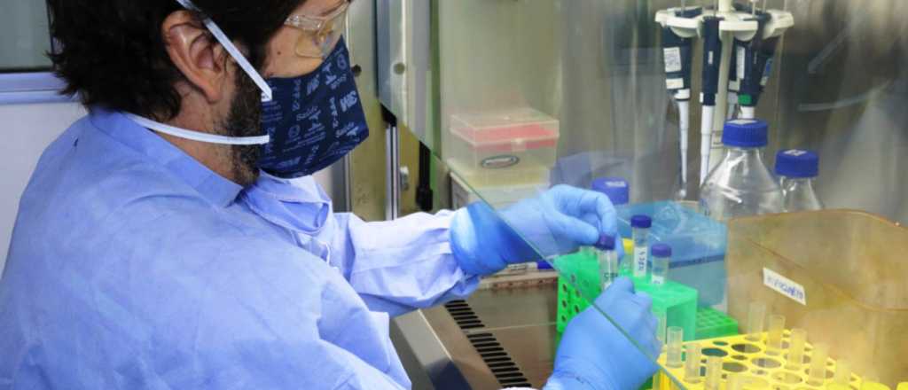 Cuál variante del coronavirus predomina en Mendoza