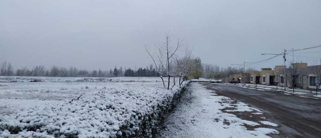En algunas zonas de Mendoza la temperatura llegó a 3 grados bajo cero