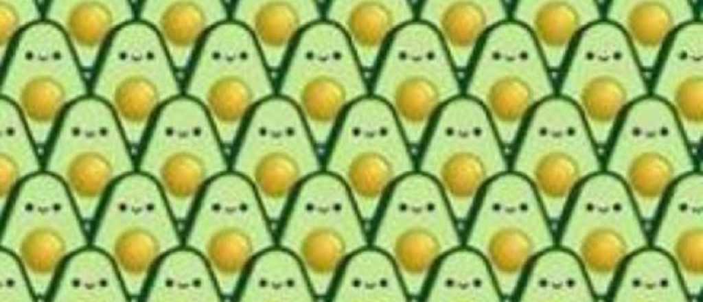 Reto viral: encontr&aacute; las paltas sin pepa en 15 segundos o menos