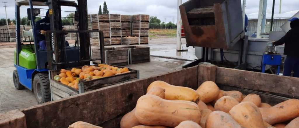 San Rafael amplía exportación de pulpa de hortalizas y frutas a Brasil