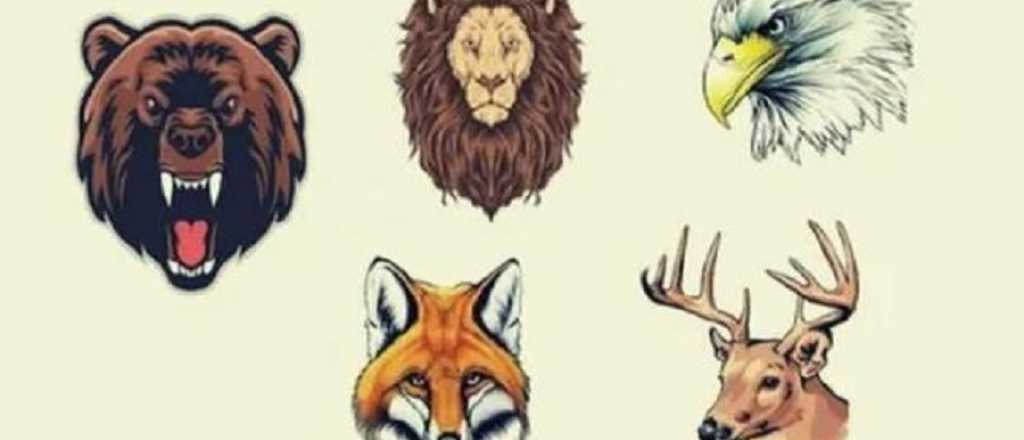 Test viral: eleg&iacute; un animal para saber lo que te diferencia de los dem&aacute;s