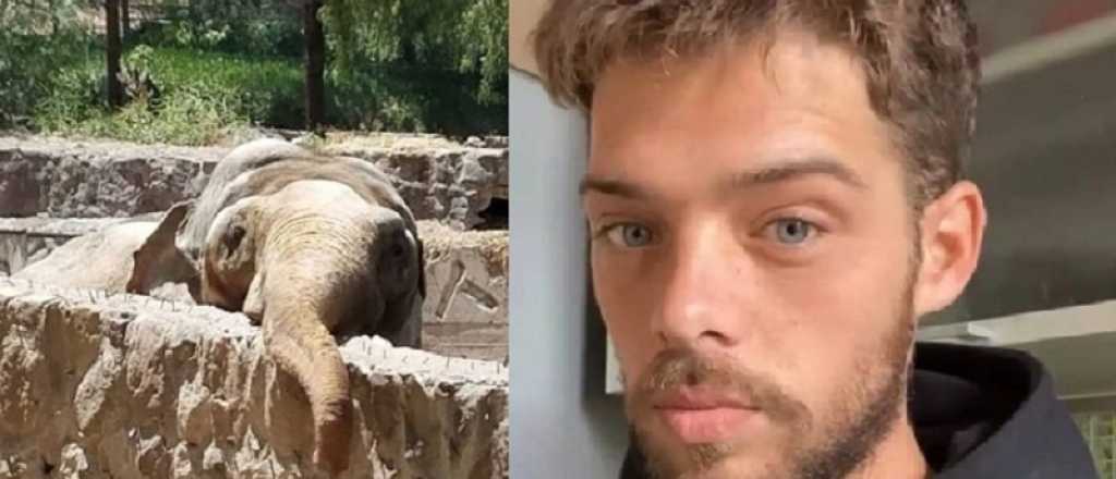 Santi Maratea juntó el dinero para el elefante Tamy del Ecoparque