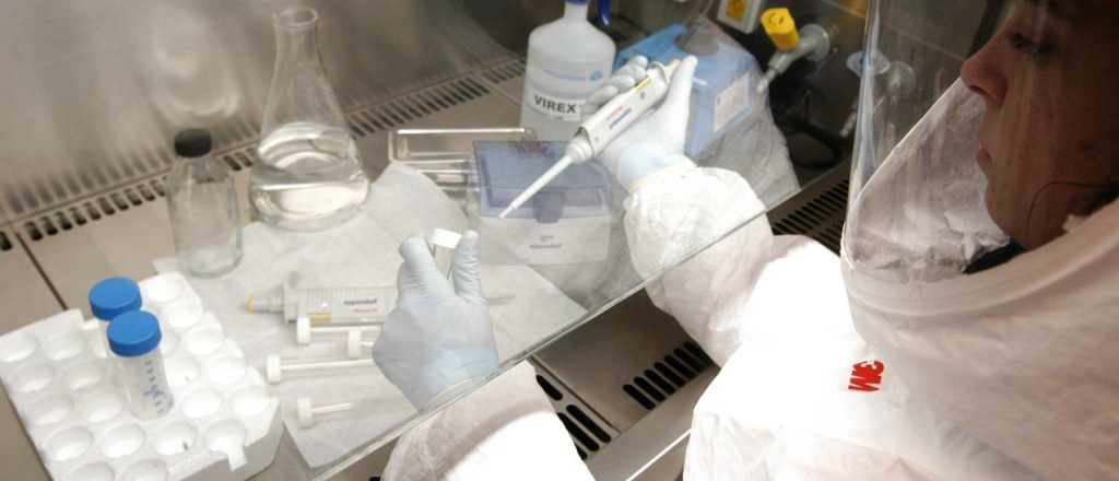 Una subvariante de &Oacute;micron podr&iacute;a ser m&aacute;s letal