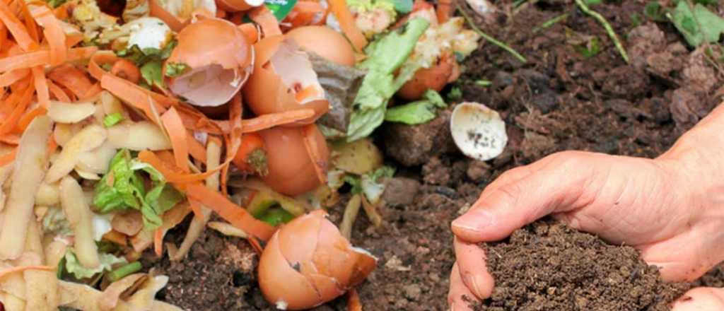 Cómo transformar los restos de comida en abono para las plantas