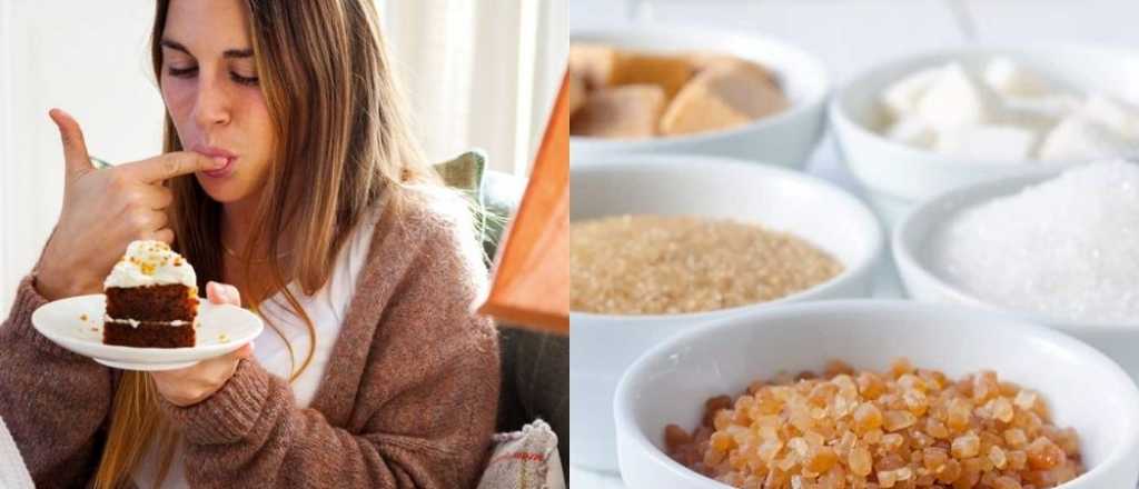 ¿Cuántos tipos de azúcares hay y cuál es su función?