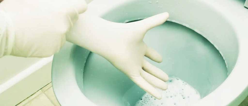 C&oacute;mo desinfectar el inodoro en menos de un minuto