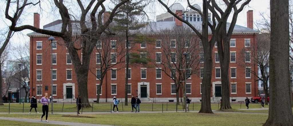 ¿Cómo acceder a los cursos gratuitos de la Universidad de Harvard?