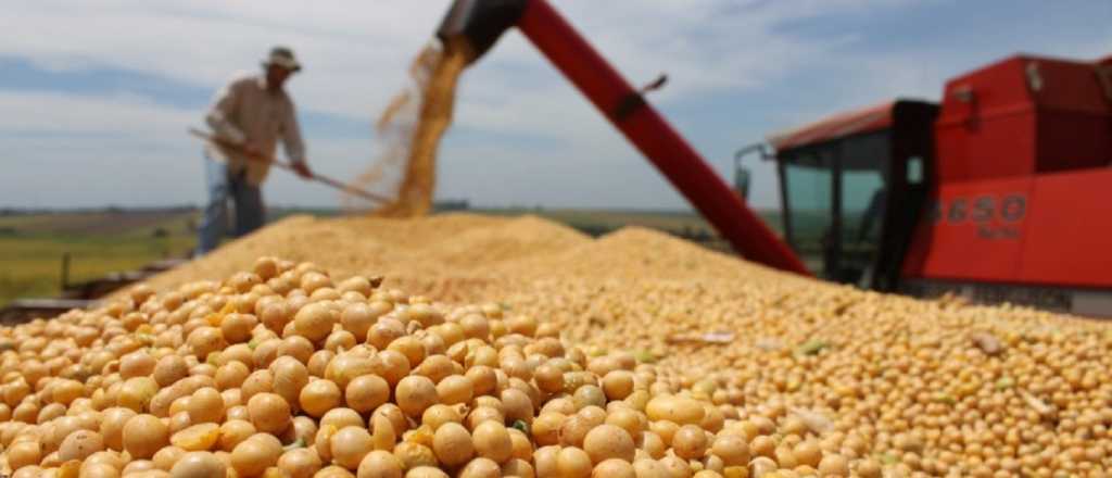 Retenciones afuera: cómo cambiaron desde 1983 hasta hoy