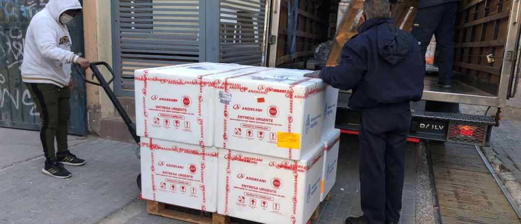 Mendoza recibirá 26.100 dosis del componente 2 de Sputnik