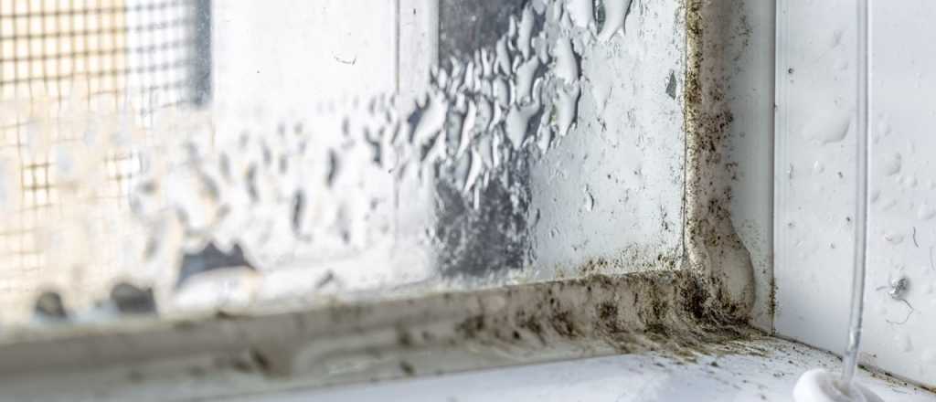 Los 3 métodos más efectivos para controlar la humedad de tus paredes