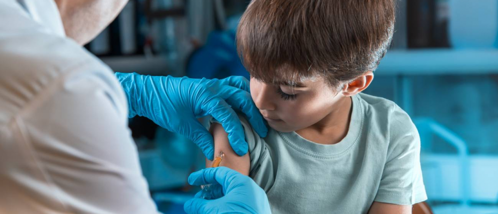 El Senado aprobó el DNU para conseguir vacunas pediátricas