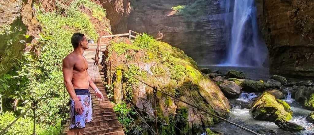 El animal que elijas te dirá algo muy importante de tu personalidad