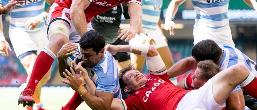 Los Pumas vencieron a Gales luego de 9 a&ntilde;os
