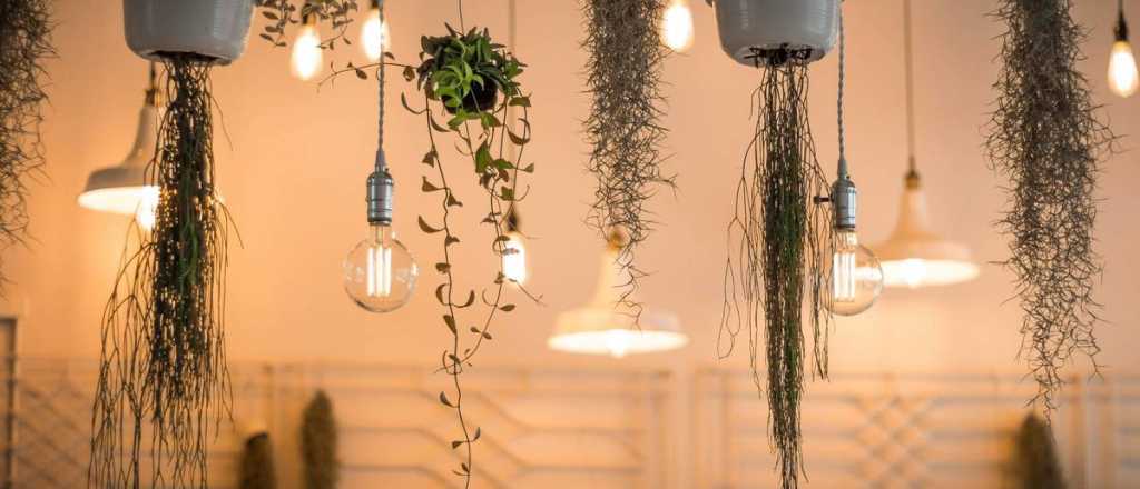 C&oacute;mo dejar tus l&aacute;mparas impecables: trucos &uacute;nicos