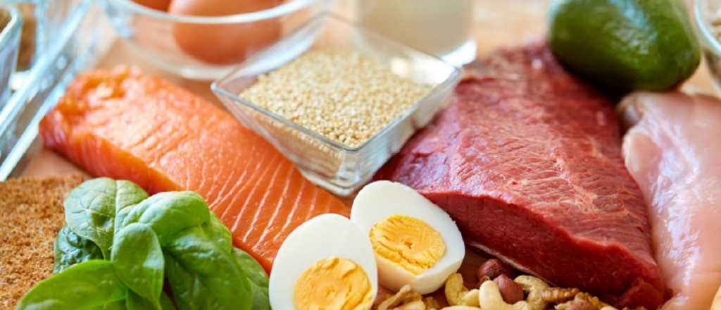 Proteínas: la importancia de comer carnes
