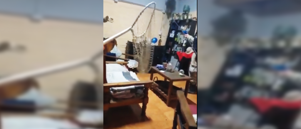 Video: as&iacute; atraparon al mono que apareci&oacute; en Godoy Cruz