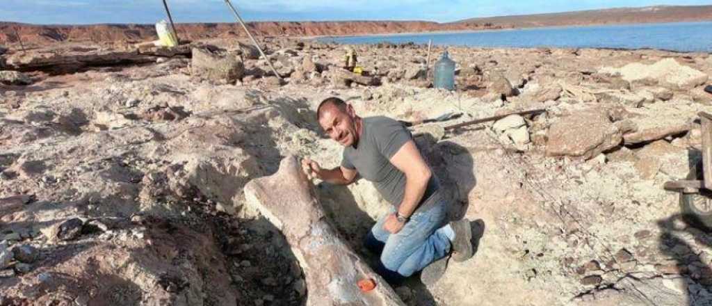 Hallaron en Argentina restos de un dinosaurio con garras gigantescas