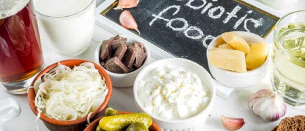 Los alimentos ricos en probi&oacute;ticos y los beneficios que otorgan