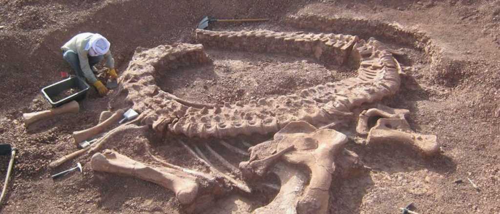 Alvear dará capacitación "Paleontología y Fósiles de Mendoza"