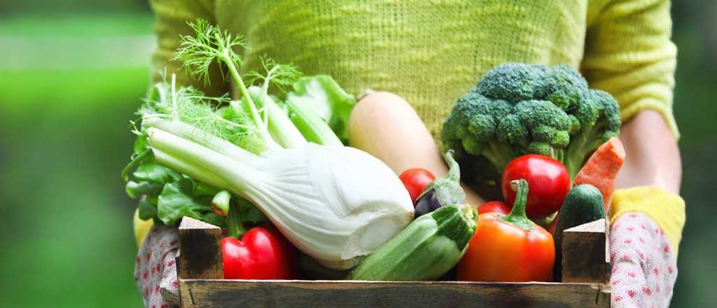 Dieta a base de plantas: reduce el riesgo de enfermedad cardíaca