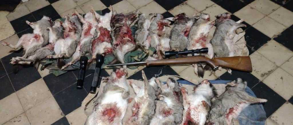 Detuvieron a cazadores con 16 vizcachas muertas en San Carlos