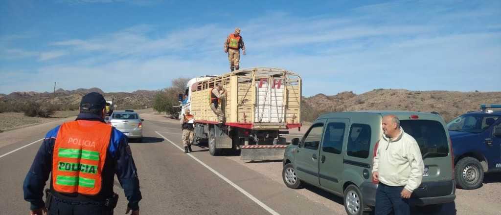Detienen a 5 personas con armas y vacas robadas