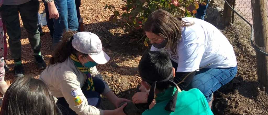 Godoy Cruz realizó un taller sobre el árbol para 50 niños