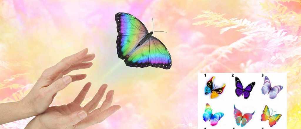 Test viral: elegí una mariposa y descubrí cómo sos en realidad