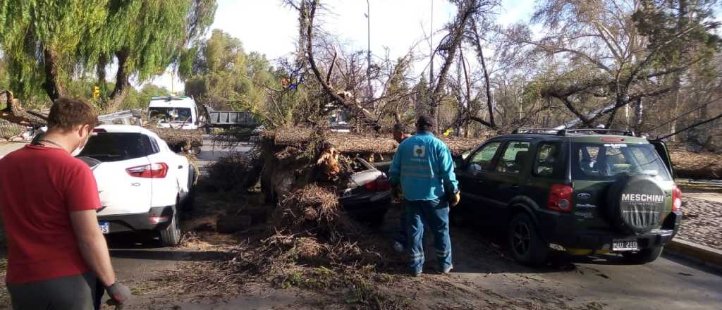 Fotos y videos: los daños que causó el Zonda en Mendoza