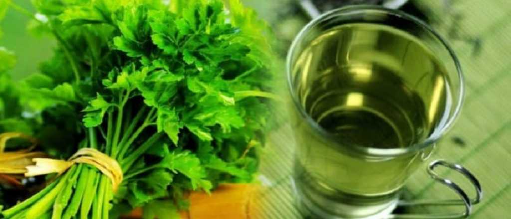&iquest;Cu&aacute;les son los beneficios de la infusi&oacute;n de perejil?