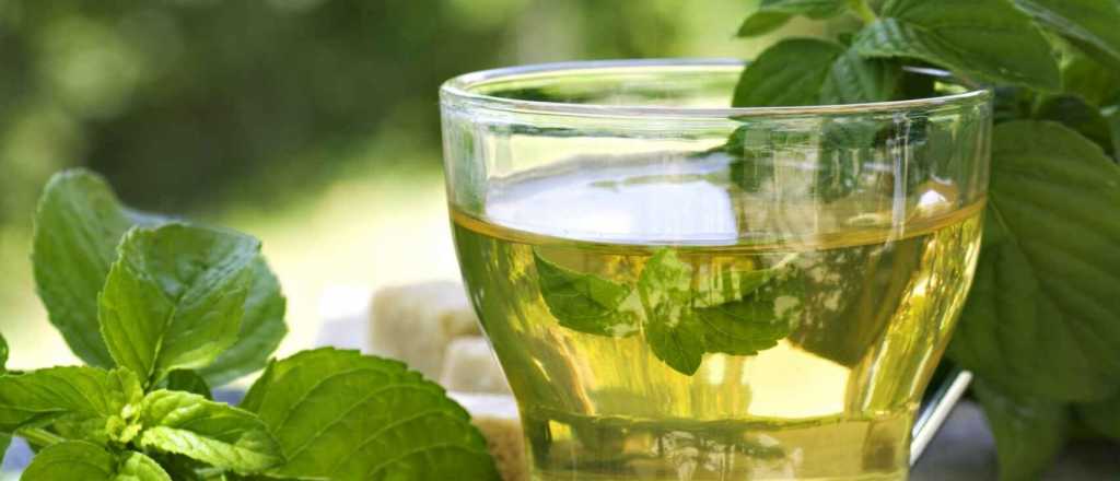 Por qué no deberías tomar té verde en ayunas todos los días
