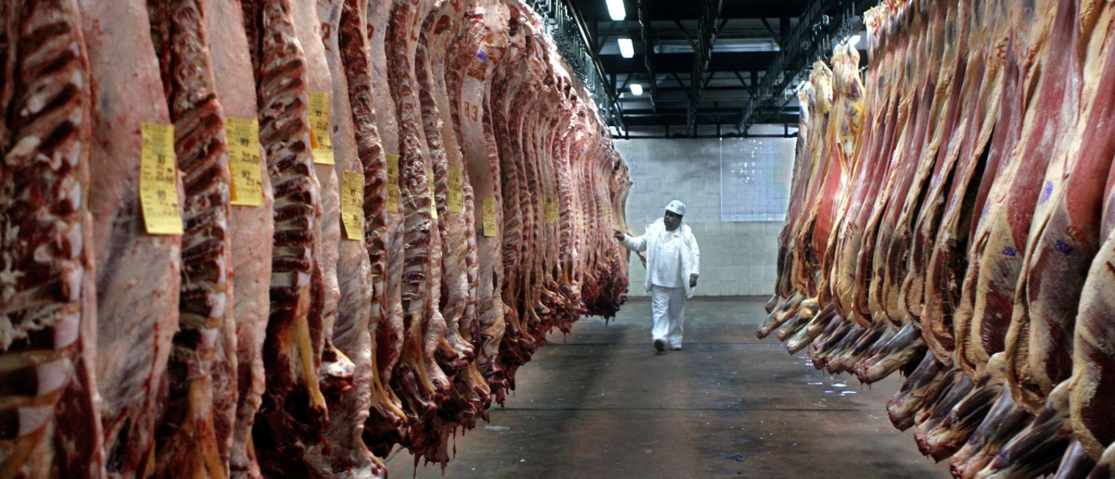 El Gobierno flexibilizó la exportación de carne