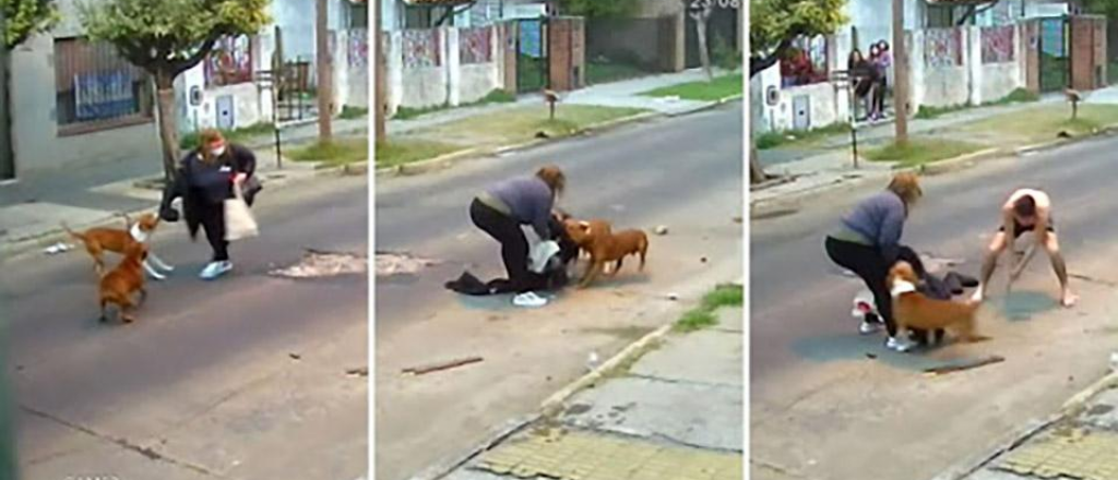 Feroz ataque de tres perros a una mujer en plena calle