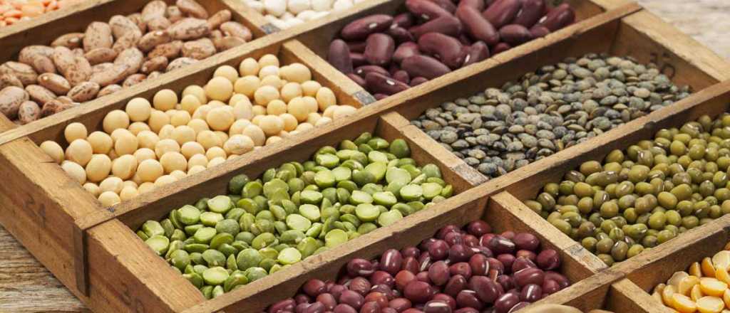 Cómo aprovechar mejor los nutrientes de semillas y legumbres