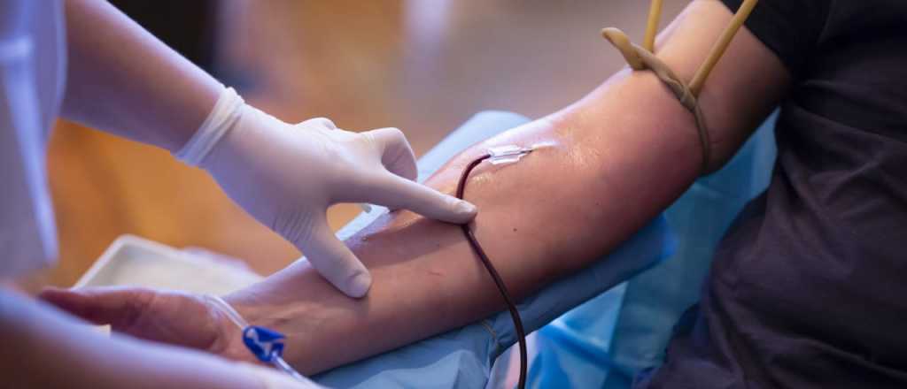 Maipú lanza nueva campaña de donación de sangre