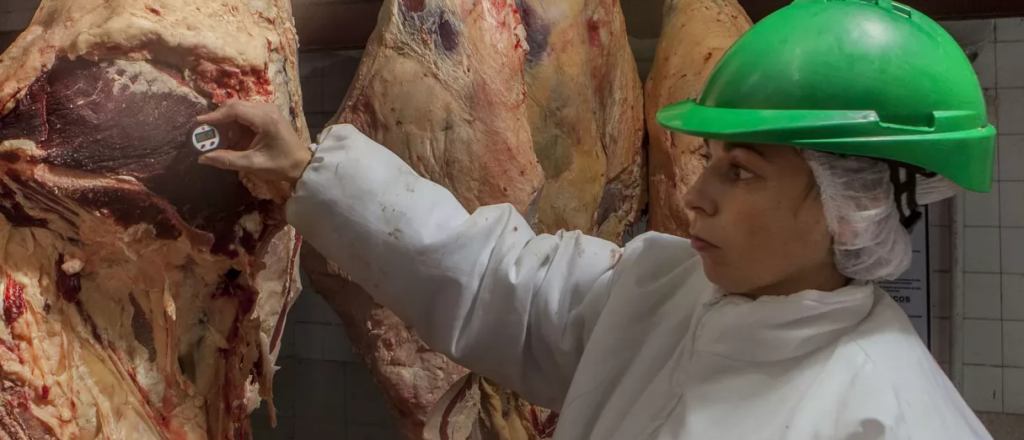 Argentina exportar&aacute; carne bovina a M&eacute;xico