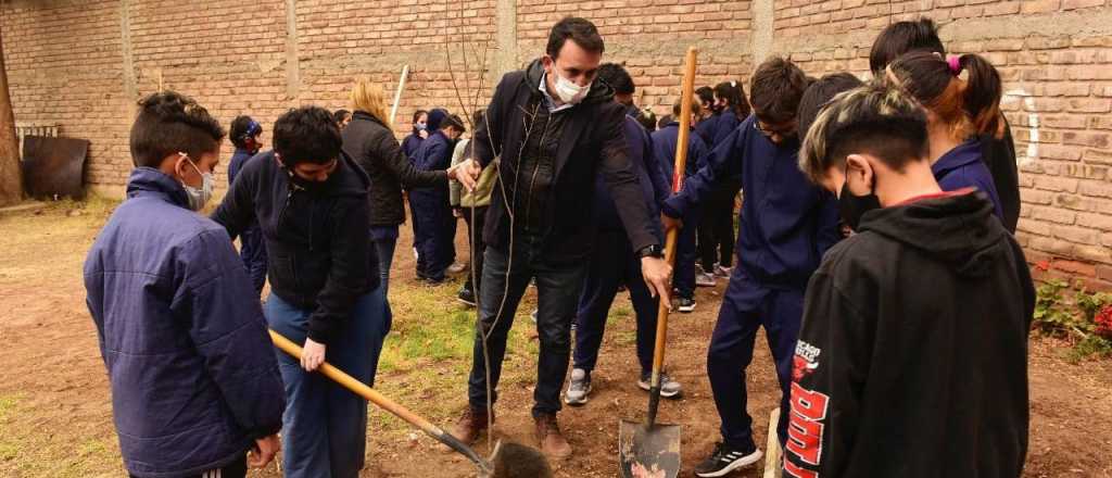 Godoy Cruz plant&oacute; m&aacute;s de 900 &aacute;rboles en 2021 y pretende llegar a 5 mil