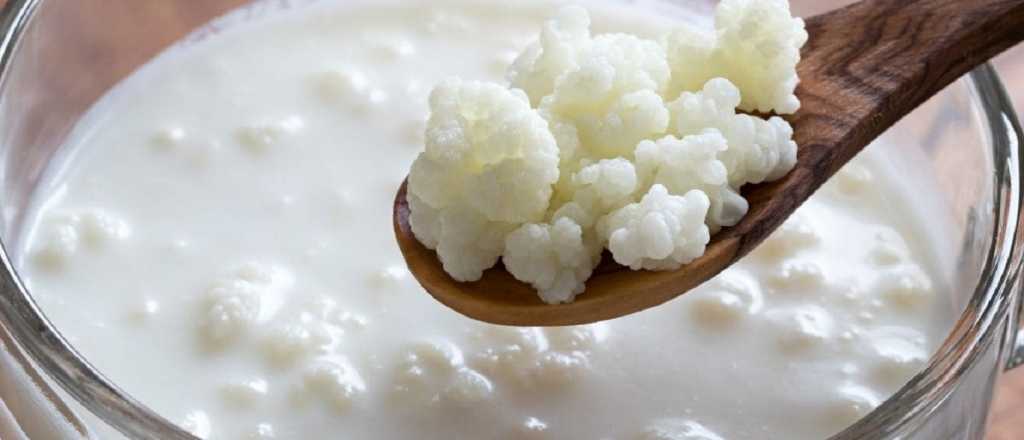 Aseguran que el k&eacute;fir aumenta la inmunidad y mejora las alergias