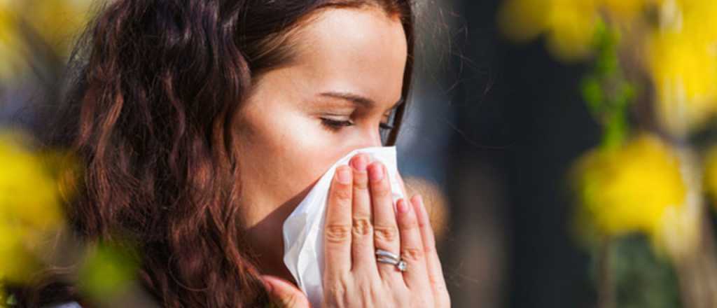El otoño y las alergias: cómo combatirlas con remedios caseros