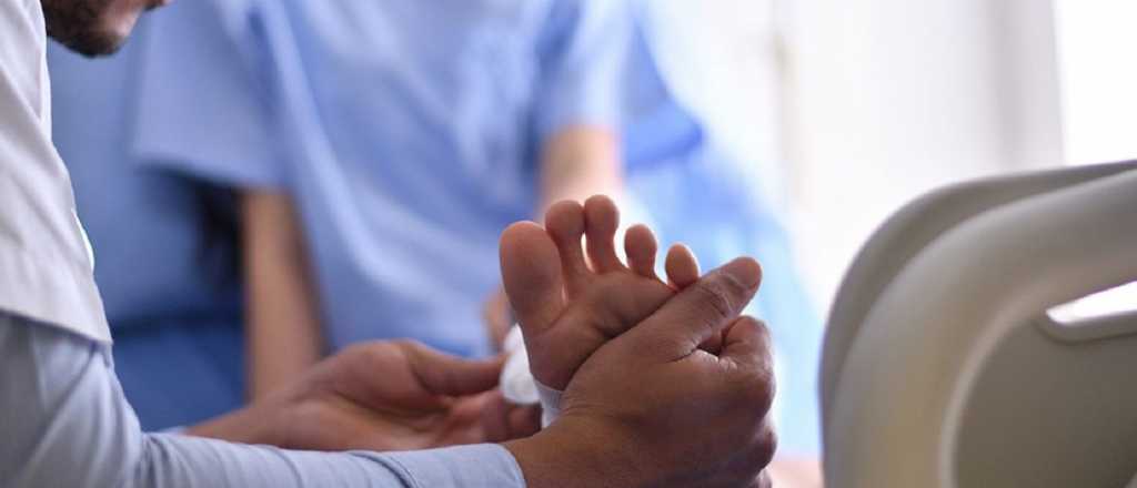 &iquest;Qu&eacute; le ocurre al organismo cuando el &aacute;cido &uacute;rico es elevado?