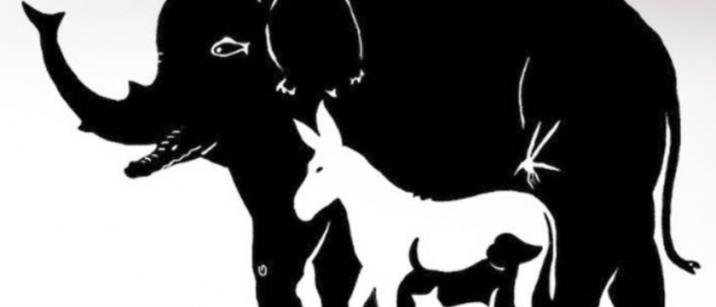 Desaf&iacute;o visual: encontr&aacute; los animales en esta imagen