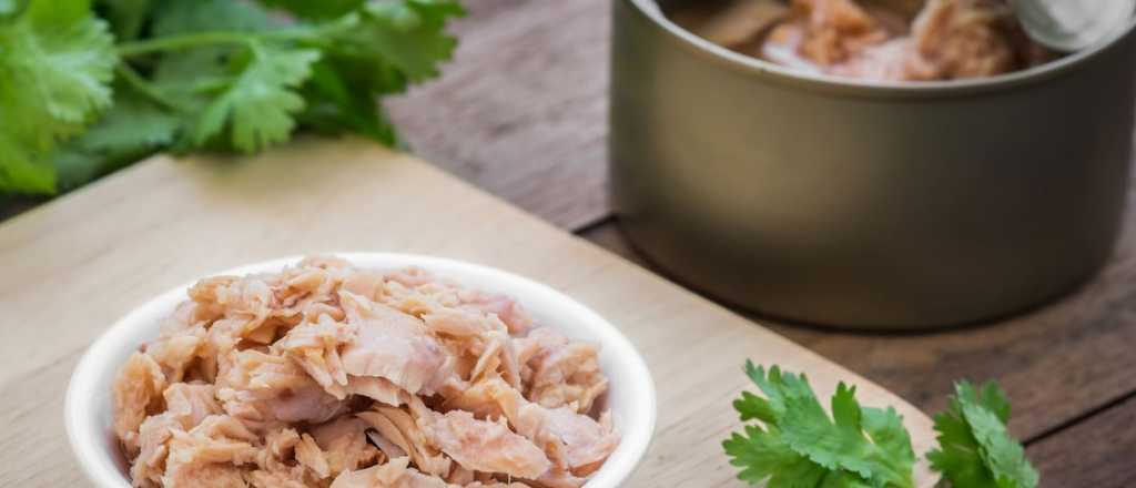 At&uacute;n en lata: 3 deliciosas y sencillas recetas