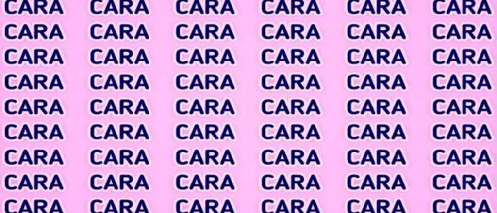 Desafío visual: ¿podés encontrar la palabra "capa"?