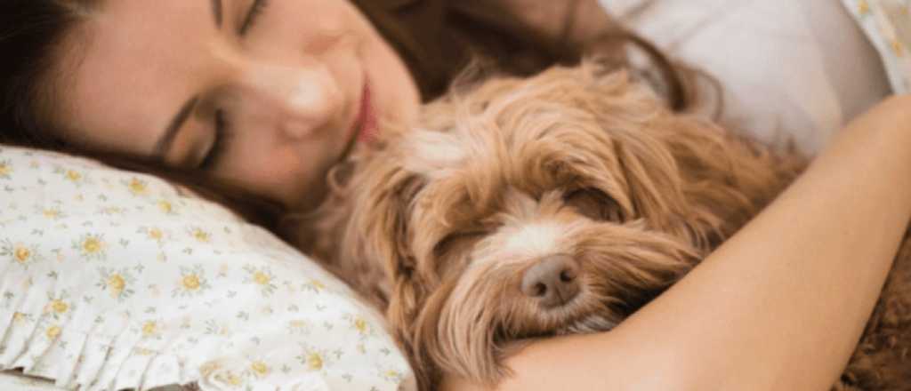 ¿Es bueno o malo dormir con mascotas?